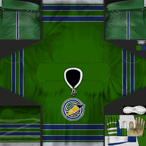 Dallas Stars