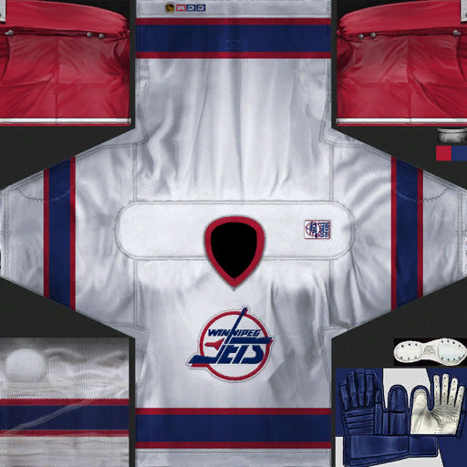 Phoenix Coyotes